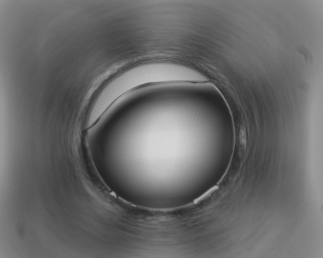 X0000114020492200910091417