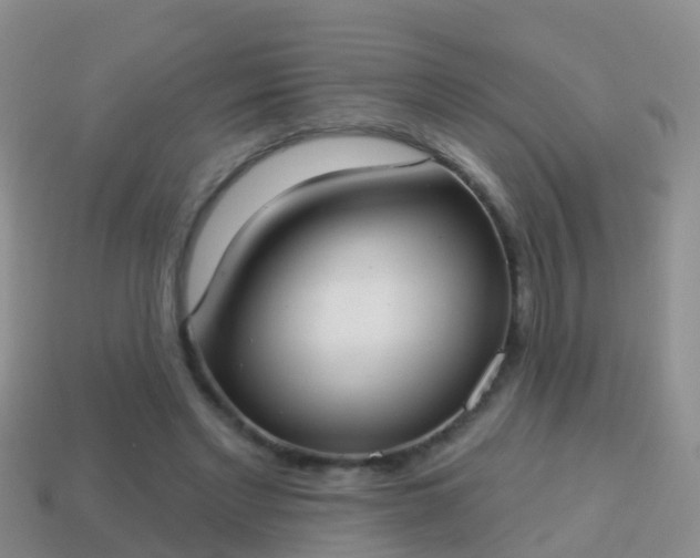 X0000114020493200910091417