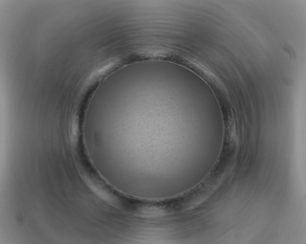 X0000114020494200910091417