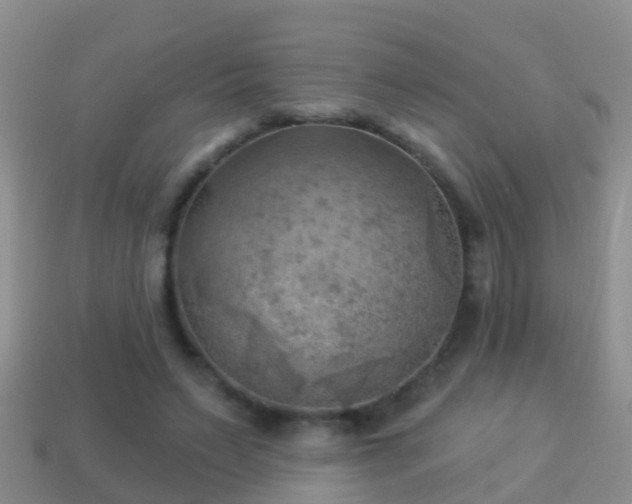 X0000114020495200910091417