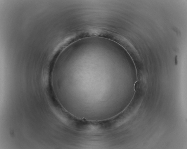 X0000114020496200910091417