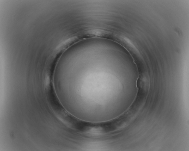 X0000114020500200910091417