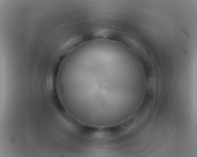 X0000114020504200910091417