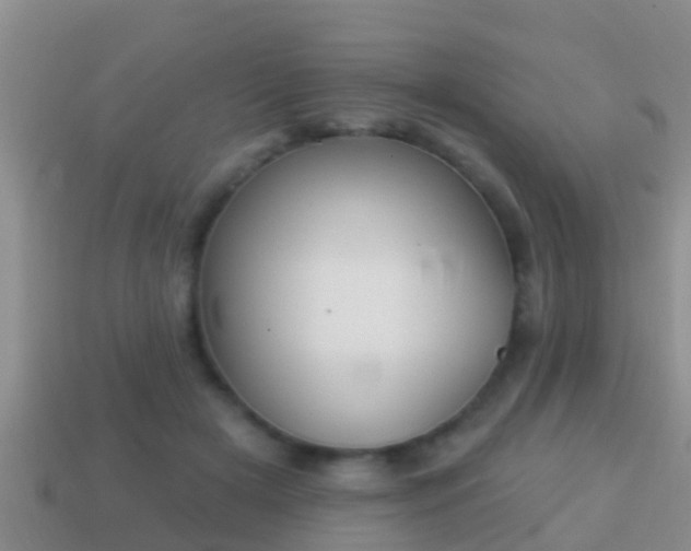 X0000114020505200910091417