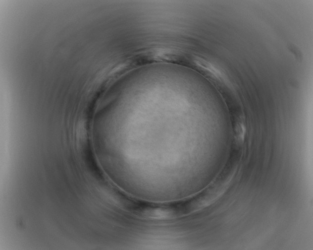 X0000114020506200910091417