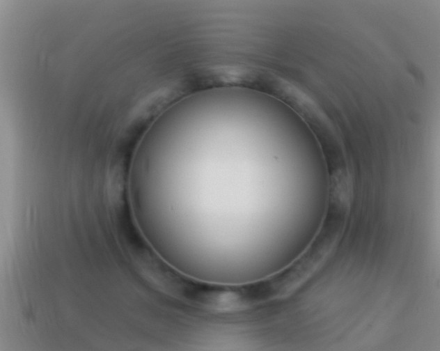 X0000114020509200910091416