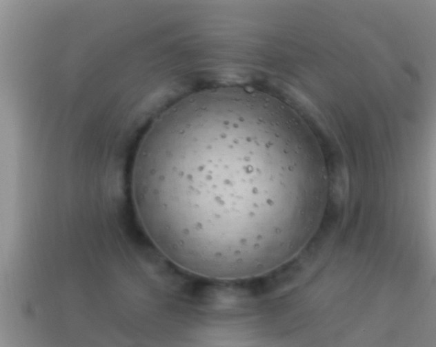 X0000114020512200910091416