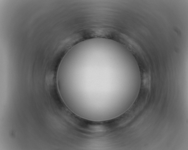 X0000114020514200910091416