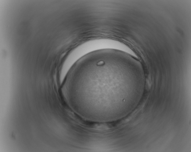 X0000114020520200910091416