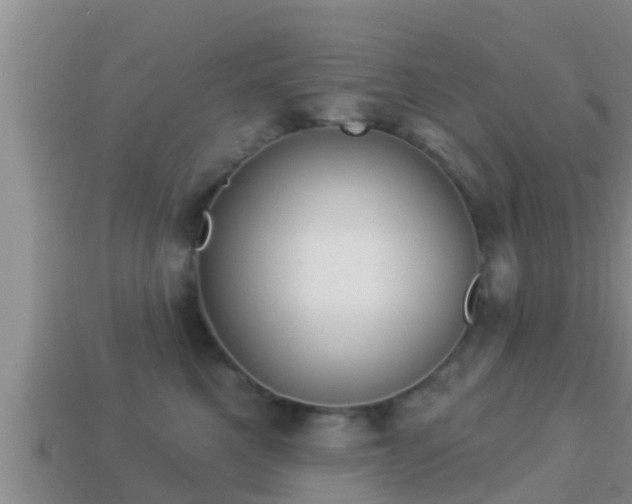 X0000114020521200910091416