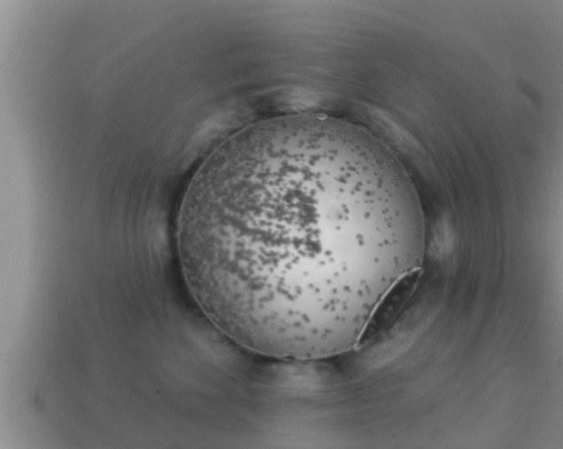 X0000114020524200910091416