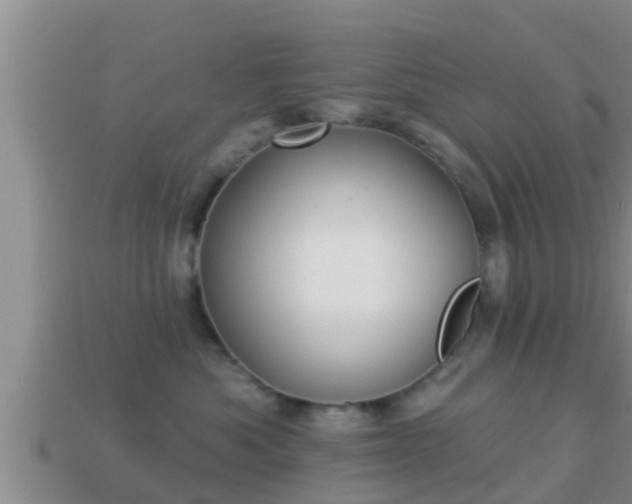 X0000114020525200910091416