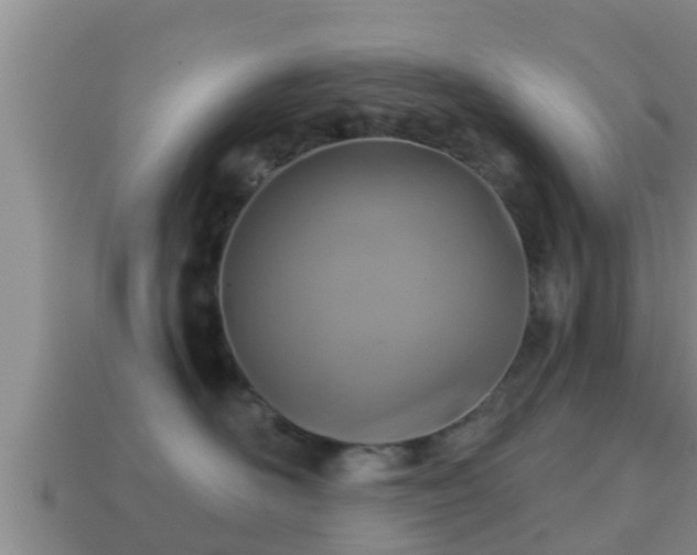 X0000114020526200910091416