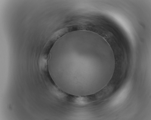 X0000114020527200910091416