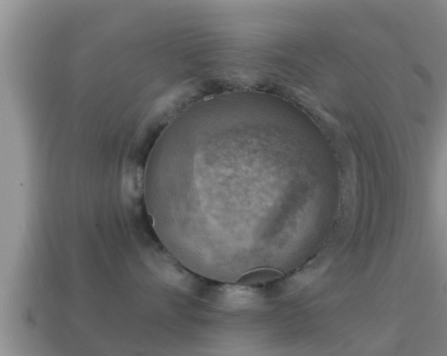 X0000114020528200910091416