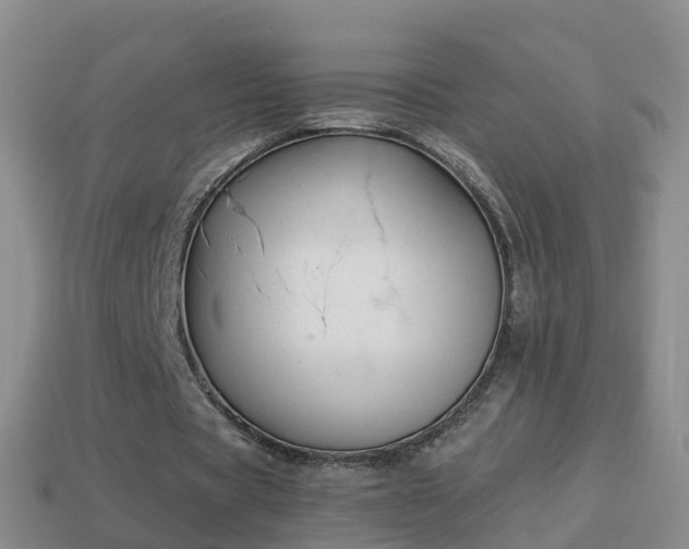 X0000114020529200910091416