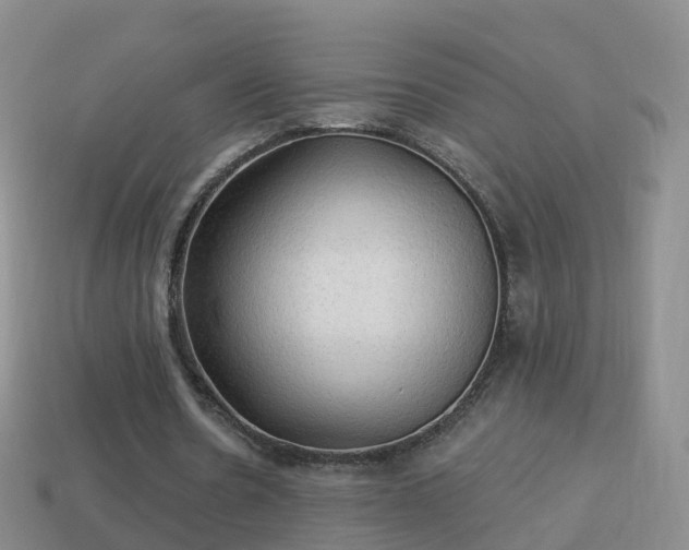 X0000114020530200910091416