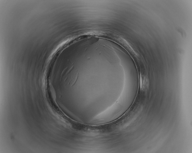 X0000114020531200910091416