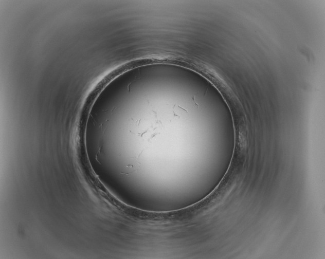 X0000114020532200910091416