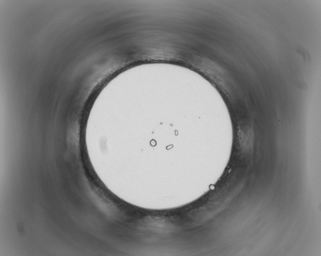 X0000114020534200910091416