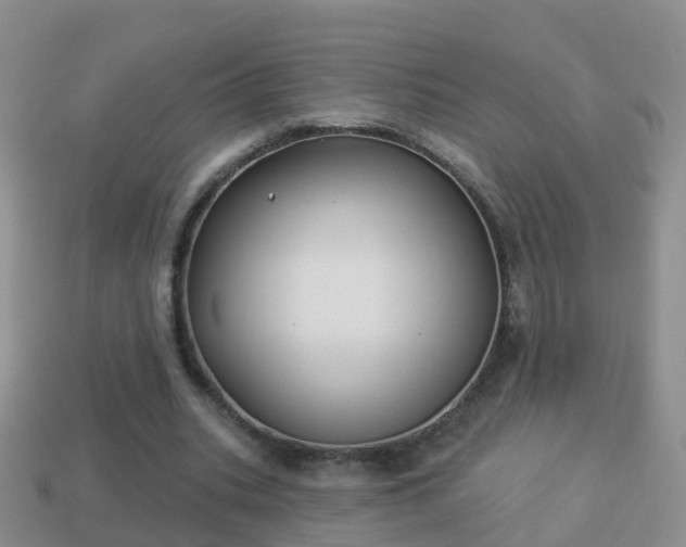 X0000114020535200910091416