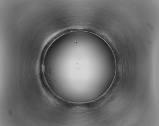 X0000114020536200910091416