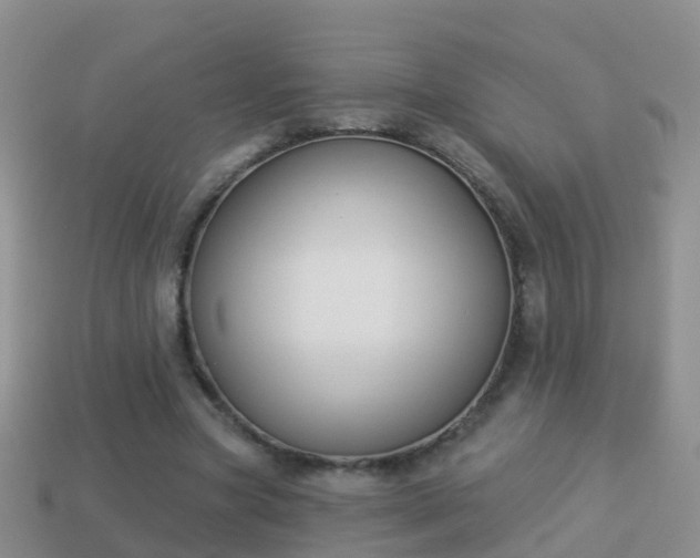 X0000114020537200910091416