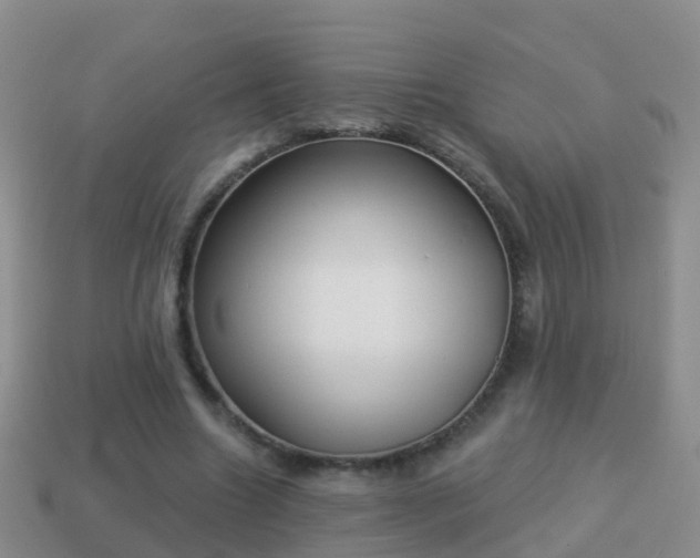 X0000114020538200910091416