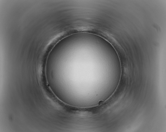 X0000114020539200910091416