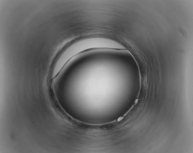 X0000114020540200910091416