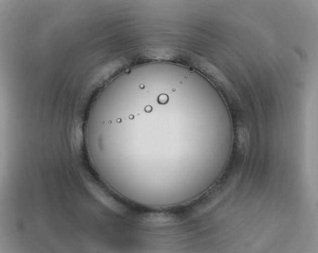 X0000114020541200910091416