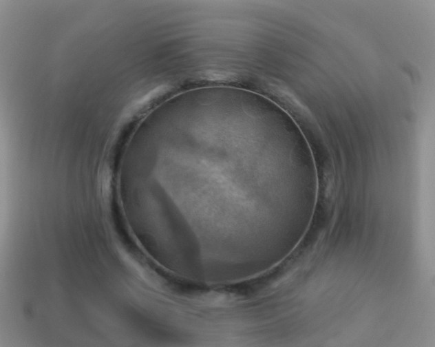 X0000114020542200910091416