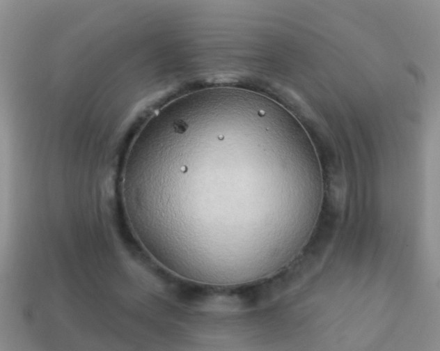 X0000114020543200910091416