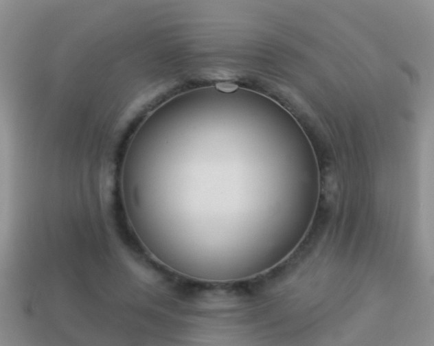 X0000114020544200910091416