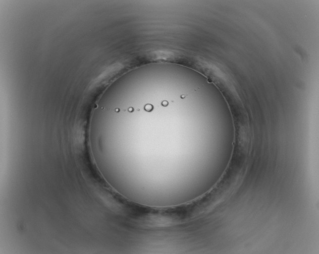 X0000114020545200910091416