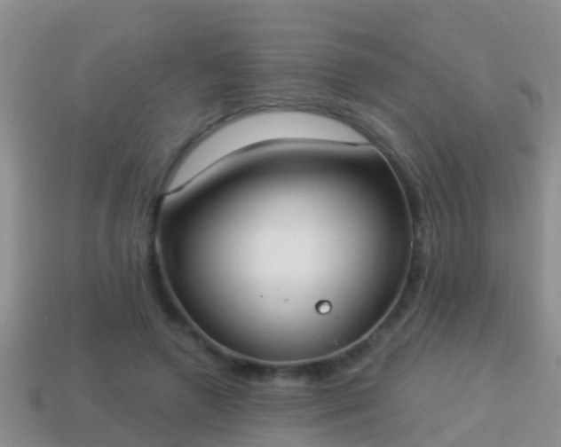 X0000114020546200910091416