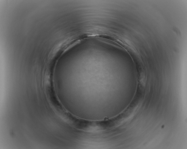 X0000114020547200910091416