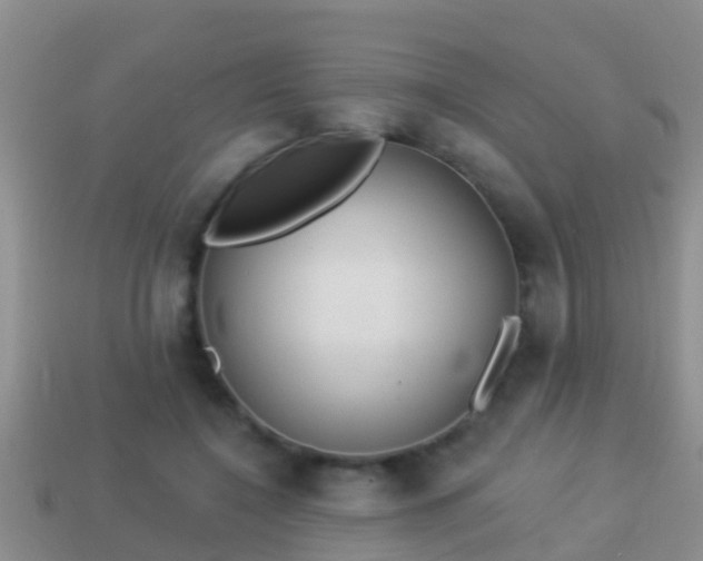 X0000114020548200910091416