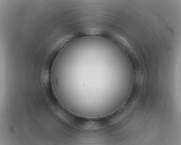 X0000114020549200910091416