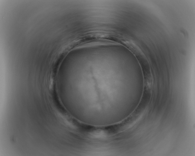 X0000114020551200910091416