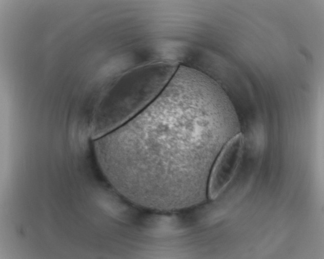 X0000114020552200910091416