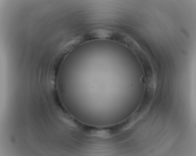 X0000114020553200910091416