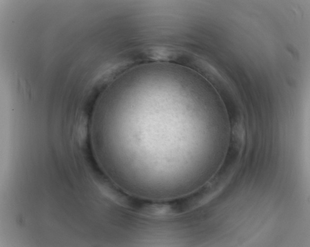 X0000114020554200910091416