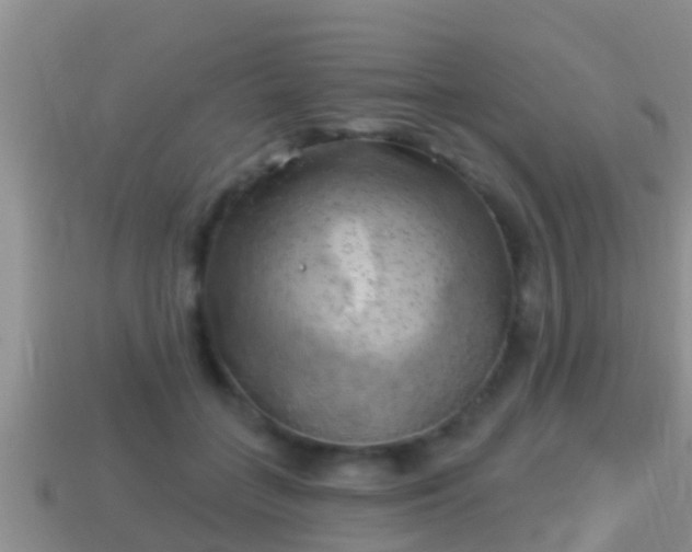 X0000114020555200910091416