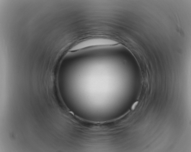 X0000114020556200910091416