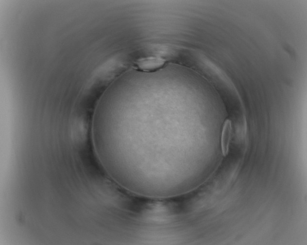 X0000114020558200910091416