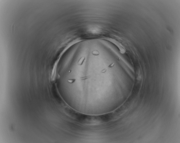 X0000114020559200910091416