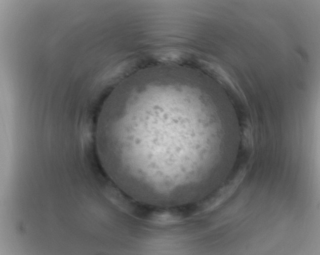 X0000114020561200910091416