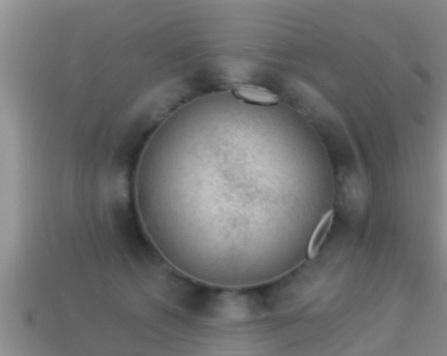 X0000114020562200910091416