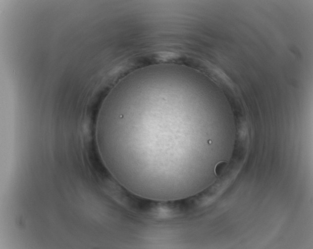 X0000114020565200910091416